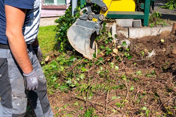 Cost of Hedge Removal Service in Santa Monica
