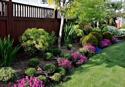 Tidy Shrubs with Flowering Plants