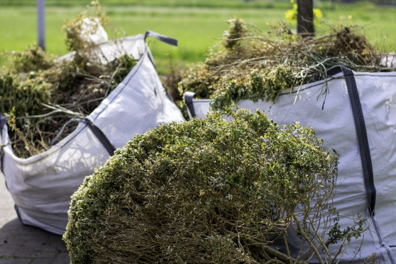 Trimmed Shrubs with Debris Removal
