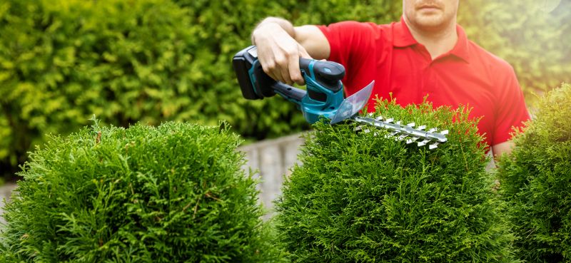 Seasonal shrub care